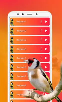 Bird Sounds, Calls & Ringtones android App screenshot 1