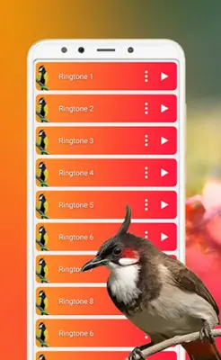 Bird Sounds, Calls & Ringtones android App screenshot 4